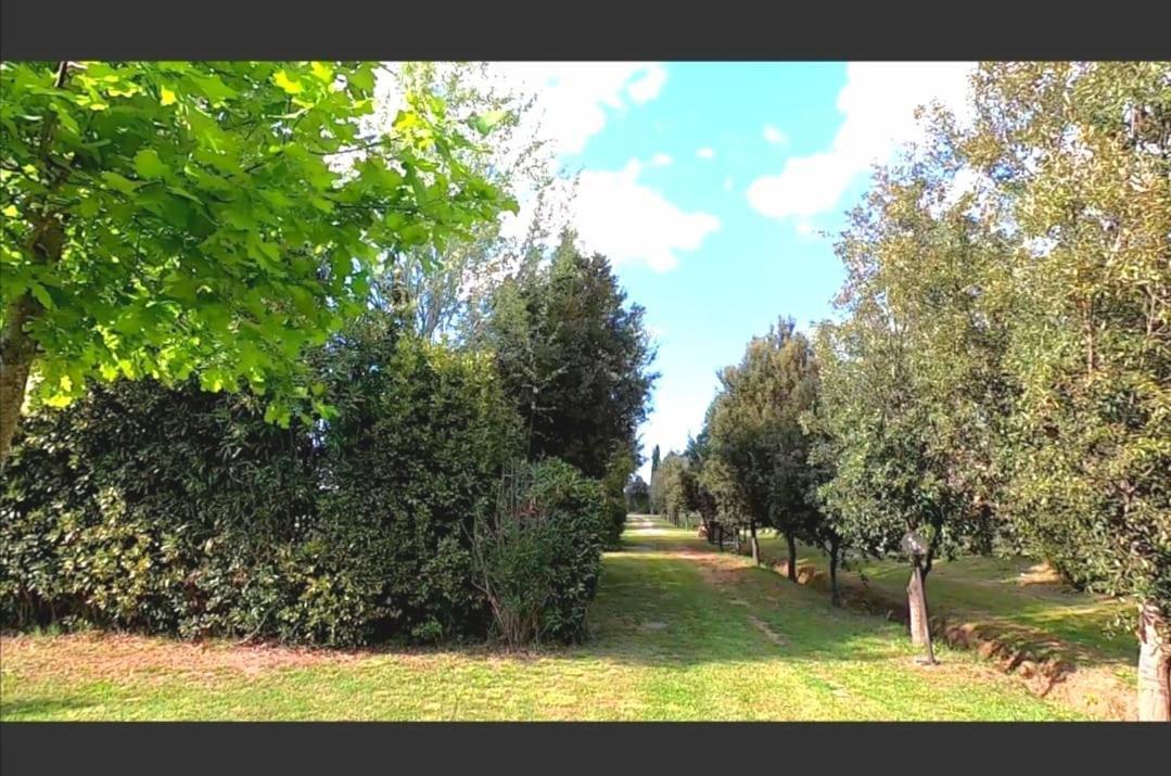 Bnatural Glamping Naturista/Nudista Baratti Exterior photo