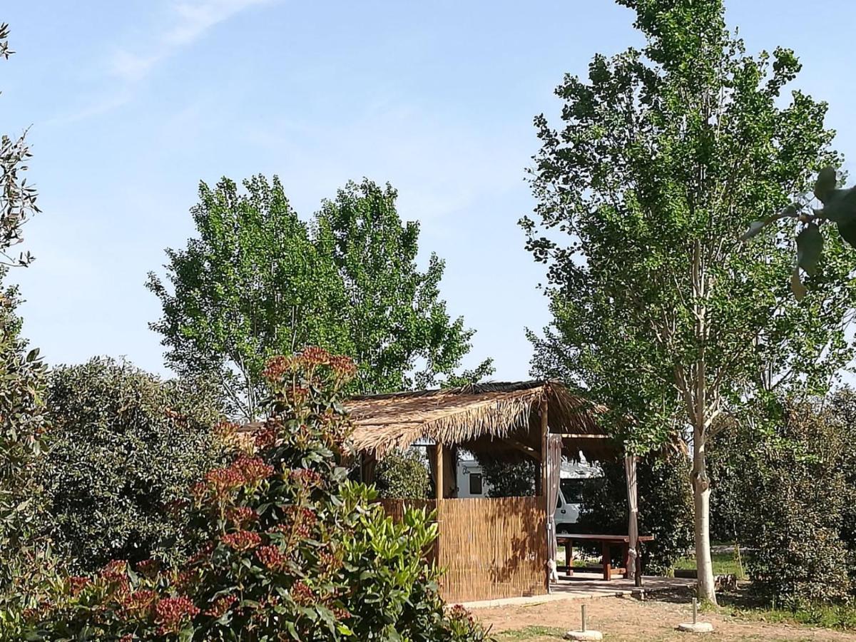 Bnatural Glamping Naturista/Nudista Baratti Exterior photo