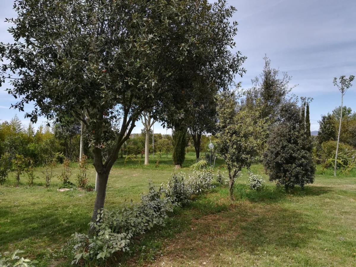 Bnatural Glamping Naturista/Nudista Baratti Exterior photo