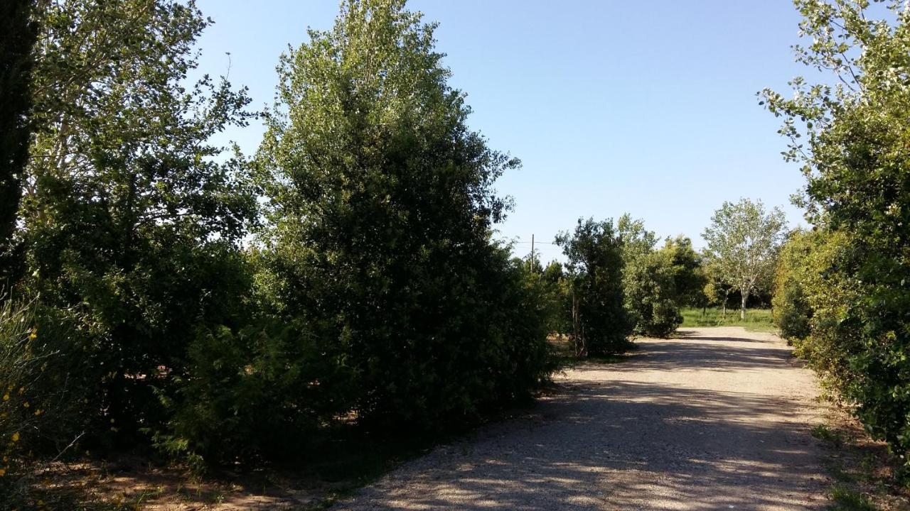 Bnatural Glamping Naturista/Nudista Baratti Exterior photo